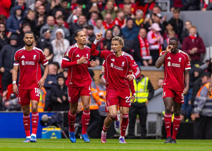 内活动 内活动